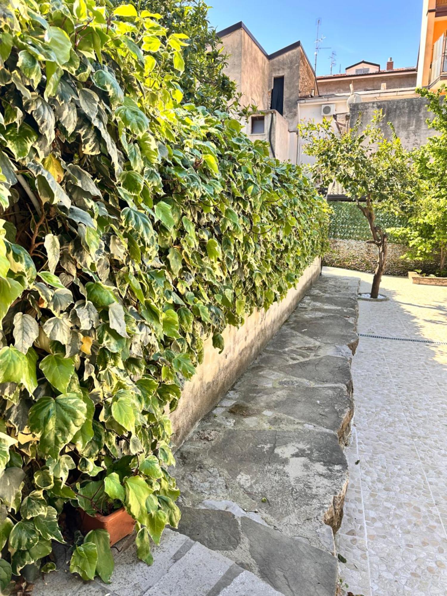 Villa La Terrazza Sapri Esterno foto